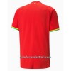 Camiseta de fútbol Ghana Segunda Equipación Mundial 2022 - Hombre